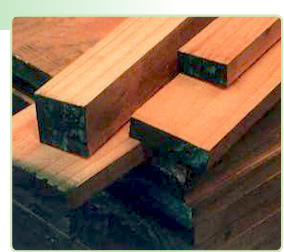 Madera Seca