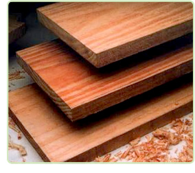 Madera Seca